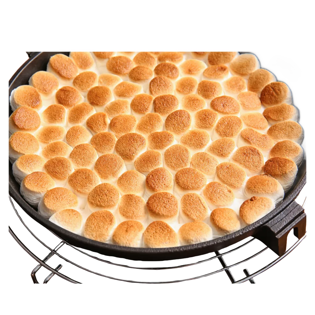A view of S 'more dip, Cookout Dessert